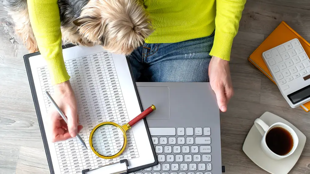 SEO for Beginners
