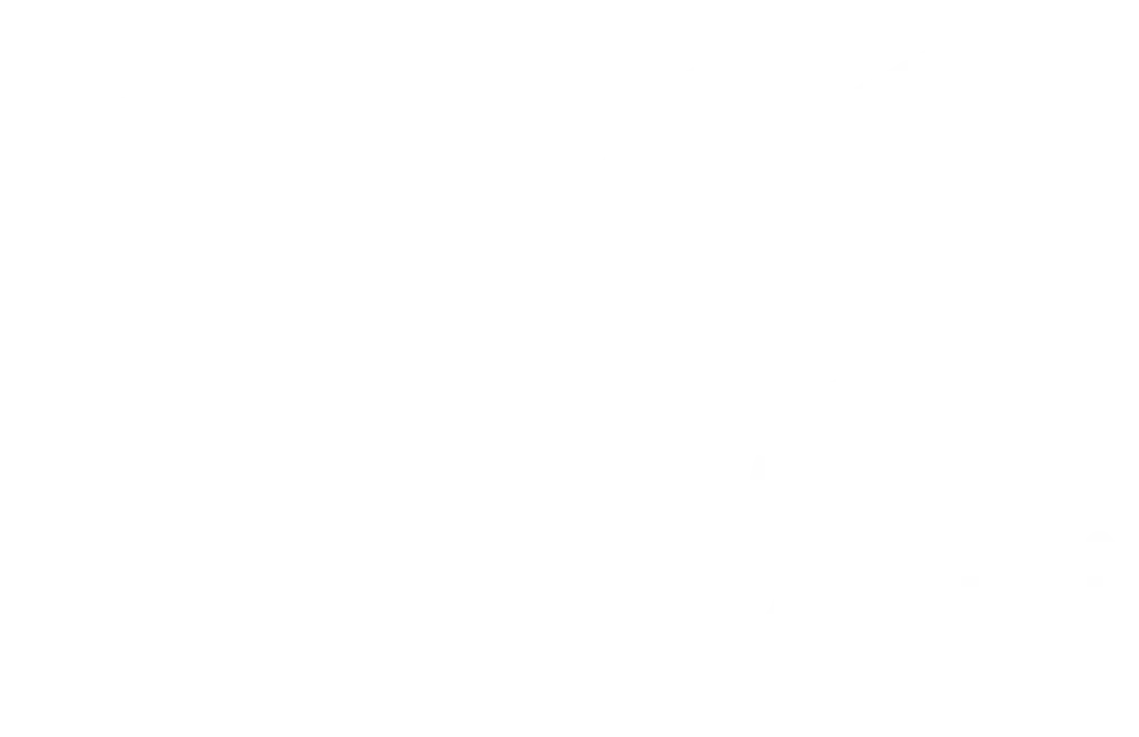 seomodi logo white